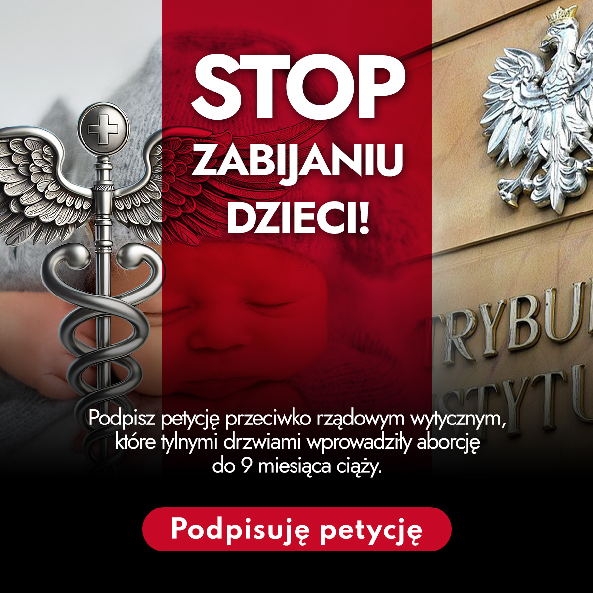stopzabijaniudzieci.pl