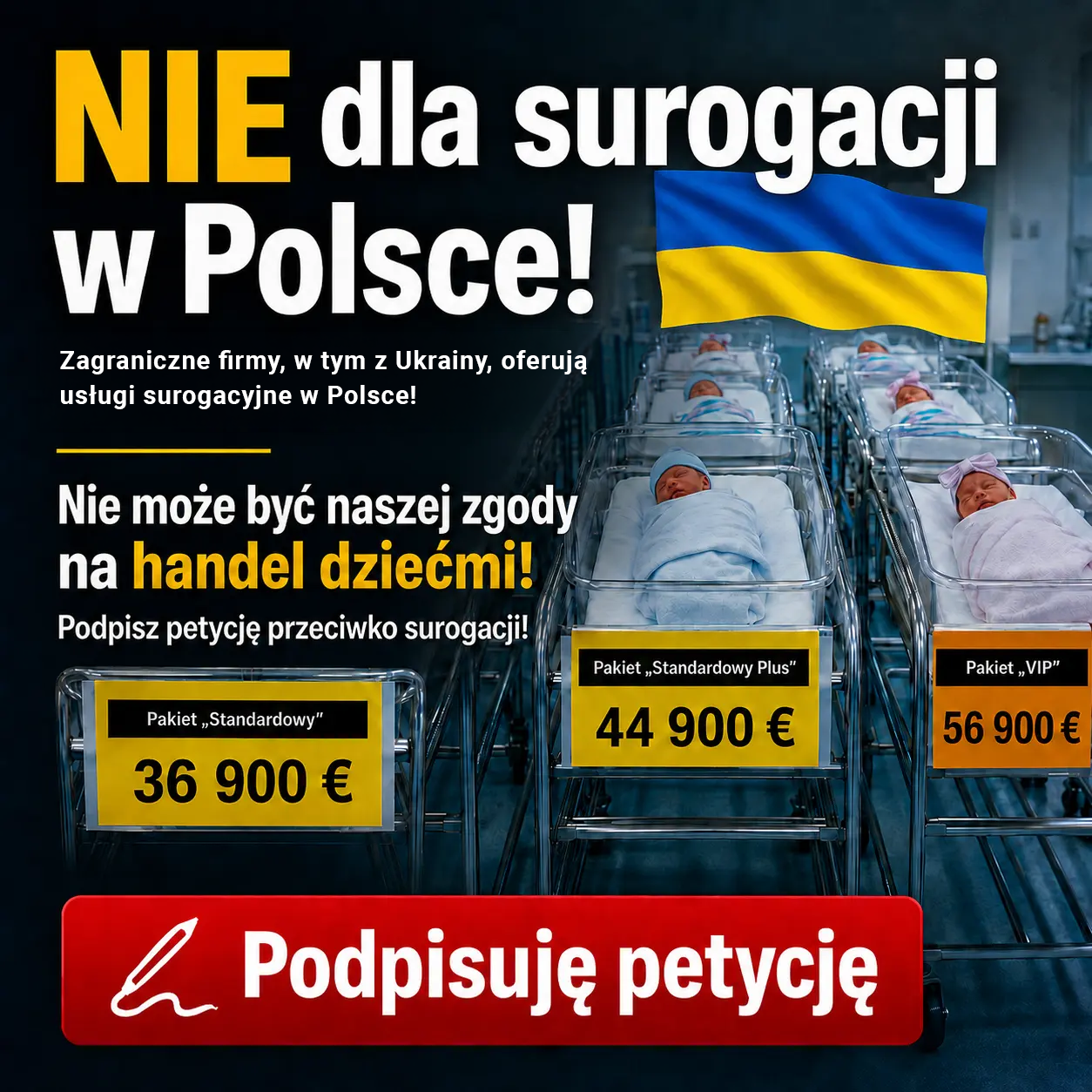niedlasurogacji.pl